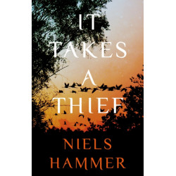 It Takes a Thief