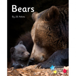 Bears: Phonics Phase 5