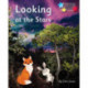 Looking at the Stars: Phonics Phase 5