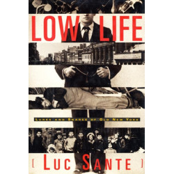 Low Life: Lures and Snares of Old New York