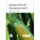 Maize Kernel Development