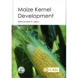Maize Kernel Development