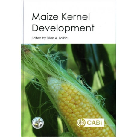 Maize Kernel Development
