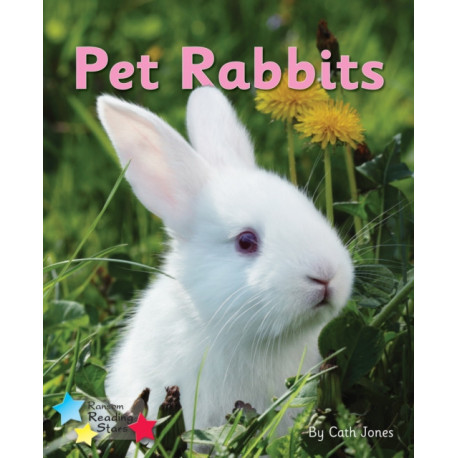 Pet Rabbits: Phonics Phase 3