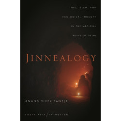 Jinnealogy: Time, Islam, and Ecological Thought in the Medieval Ruins of Delhi
