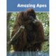 Amazing Apes: Set 2