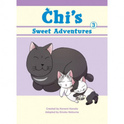 Chi's Sweet Adventures, 3