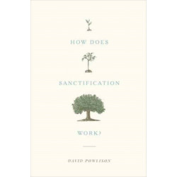 How Does Sanctification Work?