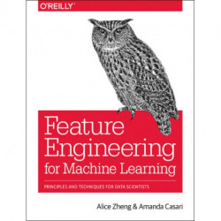 Feature Engineering for Machine Learning: Principles and Techniques for Data Scientists