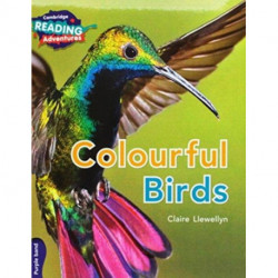 Cambridge Reading Adventures Purple Band Pack