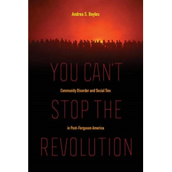 You Can't Stop the Revolution: Community Disorder and Social Ties in Post-Ferguson America