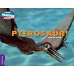 Cambridge Reading Adventures Pterosaur! Purple Band