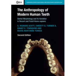The Anthropology of Modern Human Teeth: Dental Morphology and its Variation in Recent and Fossil Homo sapiens