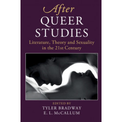 After Queer Studies: Literature, Theory and Sexuality in the 21st Century