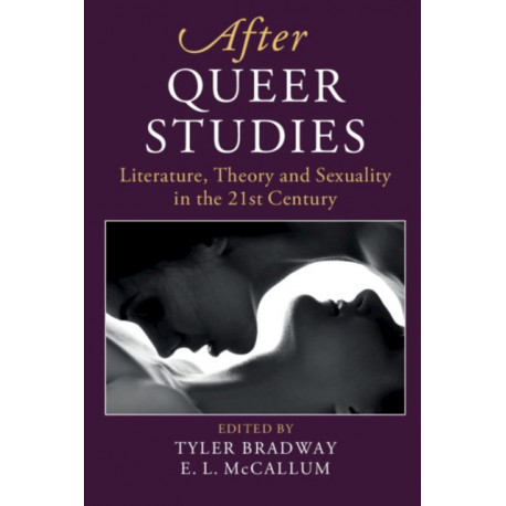 After Queer Studies: Literature, Theory and Sexuality in the 21st Century