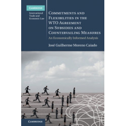 Commitments and Flexibilities in the WTO Agreement on Subsidies and Countervailing Measures: An Economically Informed Analysis
