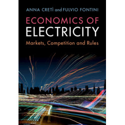 Economics of Electricity: Markets, Competition and Rules