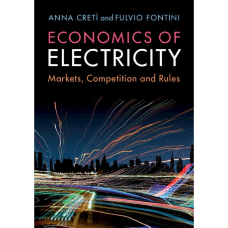 Economics of Electricity: Markets, Competition and Rules