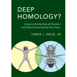 Deep Homology?: Uncanny Similarities of Humans and Flies Uncovered by Evo-Devo
