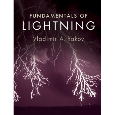 Fundamentals of Lightning