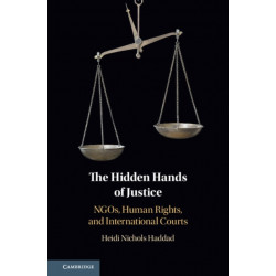 The Hidden Hands of Justice: NGOs, Human Rights, and International Courts