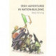 Irish Adventures in Nation-Building