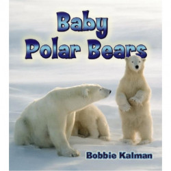 Baby Polar Bears