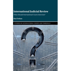 International Judicial Review: When Should International Courts Intervene?
