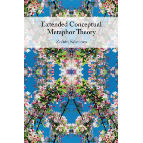 Extended Conceptual Metaphor Theory