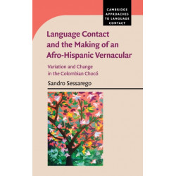 Language Contact and the Making of an Afro-Hispanic Vernacular: Variation and Change in the Colombian Choco