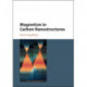 Magnetism in Carbon Nanostructures