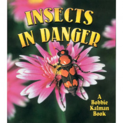 Insects in Danger