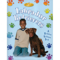 Labrador Retrievers