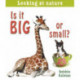 Is It Big or Small?