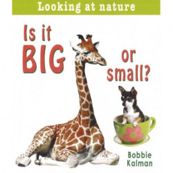 Is It Big or Small?