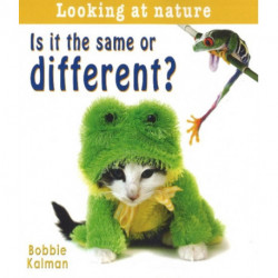 Is It Same or Different