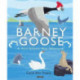 Barney Goose: A Wild Atlantic Way Adventure