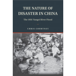 The Nature of Disaster in China: The 1931 Yangzi River Flood