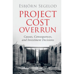 Project Cost Overrun: Causes, Consequences, and Investment Decisions