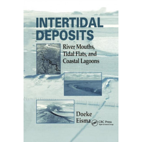 Intertidal Deposits: River Mouths, Tidal Flats, and Coastal Lagoons