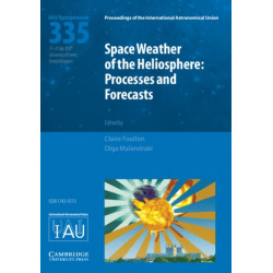 Space Weather of the Heliosphere (IAU S335): Processes and Forecasts