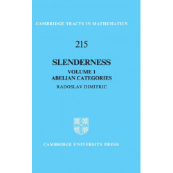 Slenderness: Volume 1, Abelian Categories