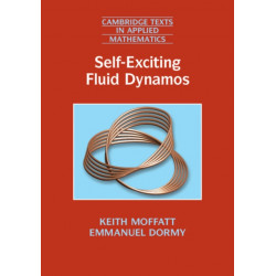 Self-Exciting Fluid Dynamos
