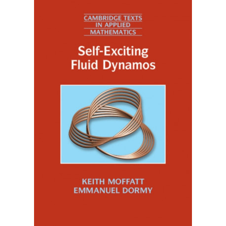 Self-Exciting Fluid Dynamos