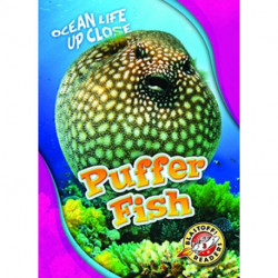 Puffer Fish