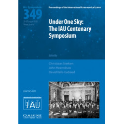 Under One Sky: The IAU Centenary Symposium (IAU S349)
