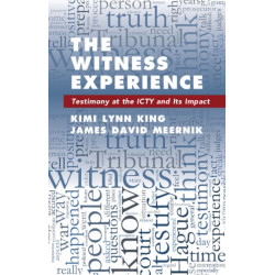 The Witness Experience: Testimony at the ICTY and Its Impact