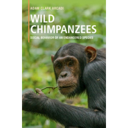Wild Chimpanzees: Social Behavior of an Endangered Species