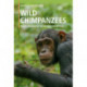 Wild Chimpanzees: Social Behavior of an Endangered Species