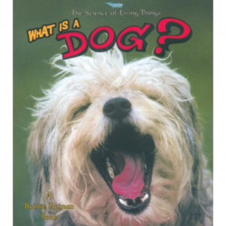 What Is a Dog